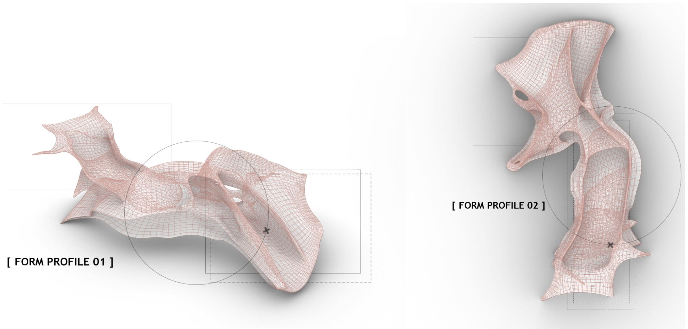 Pavilion: Form Profiles 01 and 02